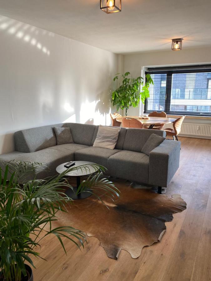 奥斯滕德Casa Leon公寓 外观 照片